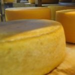 Ako variť syr doma - vyberte si dobrú továreň na syr