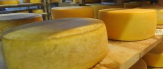 كيف لطهي الجبن في المنزل - اختيار مصنع جبن جيد