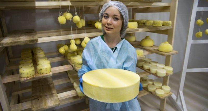 اختيار أفضل منتجات الألبان الجبن للمنزل