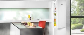 Най-добрият хладилник с функцията на ноу-хау - изберете